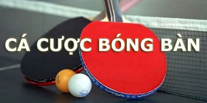 Table Tennis Betting - Instructions on Tips for Winning Big at Keonhacai